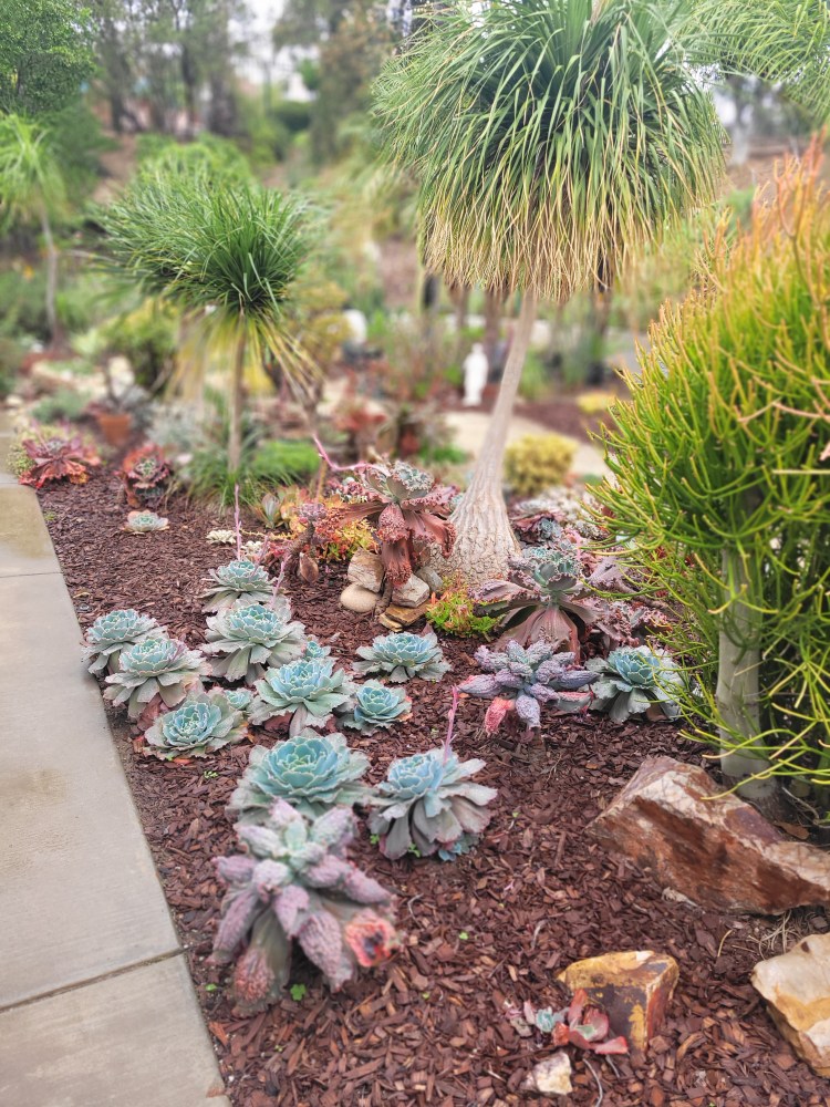 Gallery Detail: Bryan S Backyard